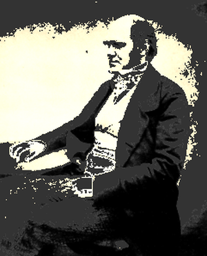 Darwin
