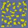 Bildbeispiel -