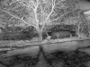Patch Art Werk "Metallic" mit
                    Foto "Winter im Hannenhof"