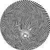 Bildbeispiel OP-Art