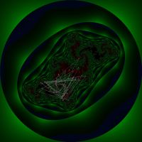 preview attrnen-0.216+0.704-50ism.jpg