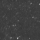 Brownianmotion_beads_in_water_spim_video