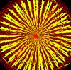 Aufruf OPart "Spot"