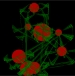 Aufruf "8 Beams"