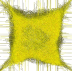 Bild Index