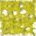 Bild Index