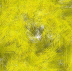 Bild Index